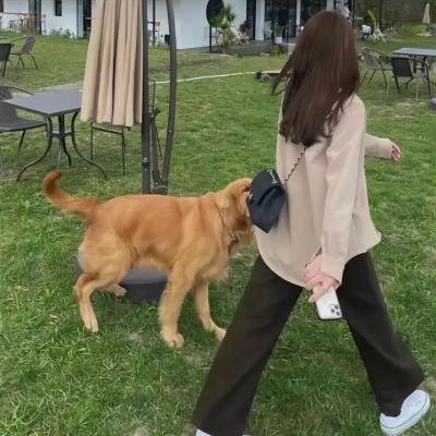我们要洞房